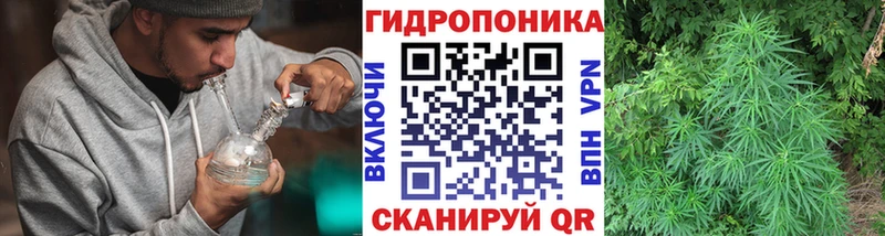 Бошки марихуана сатива  Сортавала 